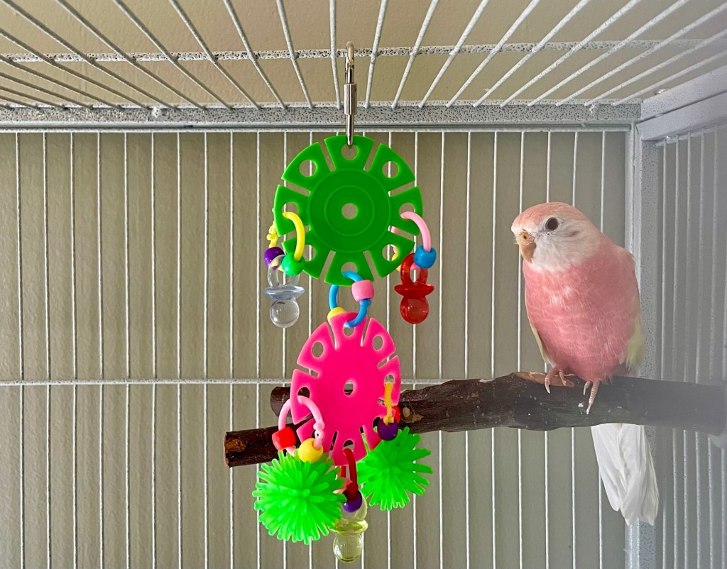 Pollyanna, Radical Feminist