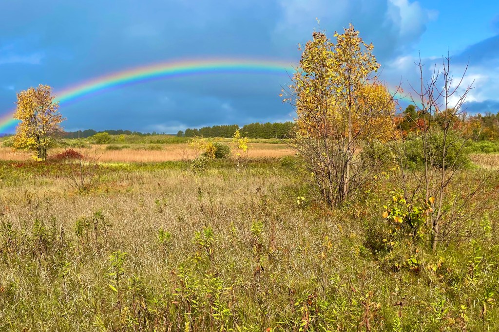 The Biblical Case for LGBTQ+&nbsp;Rights